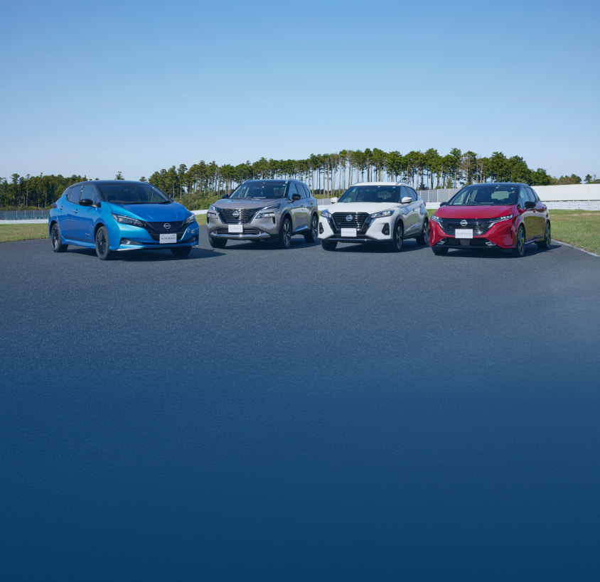 EV lineup